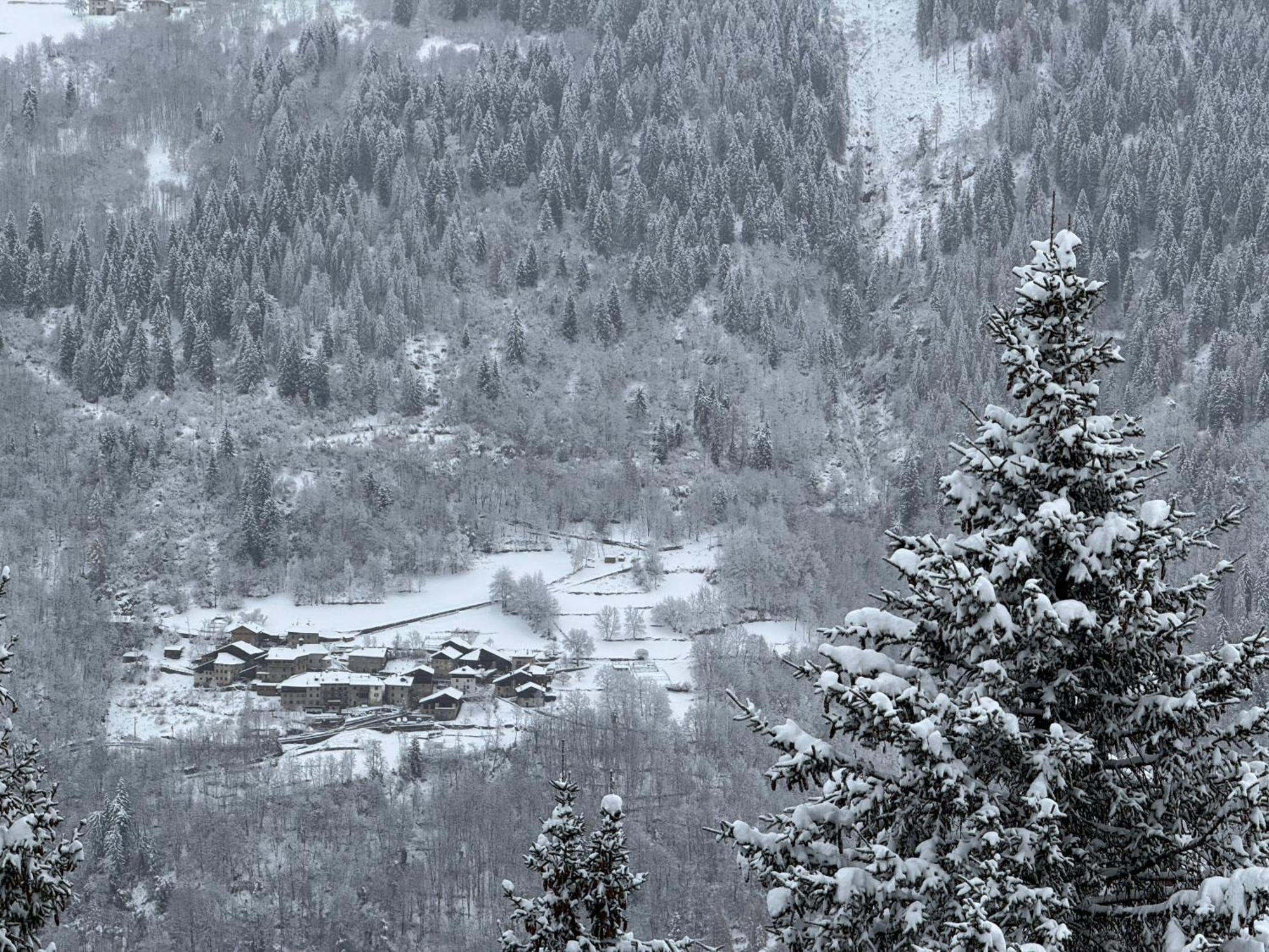 Panorama Marilleva 1400 - Val Di Sole Διαμέρισμα Εξωτερικό φωτογραφία